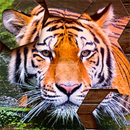 Hexa Jigsaw Puzzle Online Game