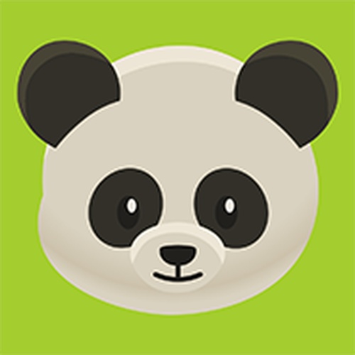 Code Panda Puzzle Game