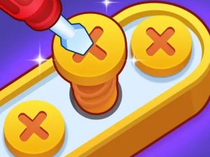 Screw Pin Jam Puzzle Online Game