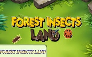 Woodland Creatures Nature Quest