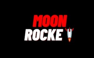 Lunar Touchdown Precision