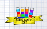 Water Sort Puzzle: Color Sorting Game Online - Puzzle Game
