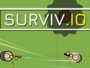 Survivor Island Challenge